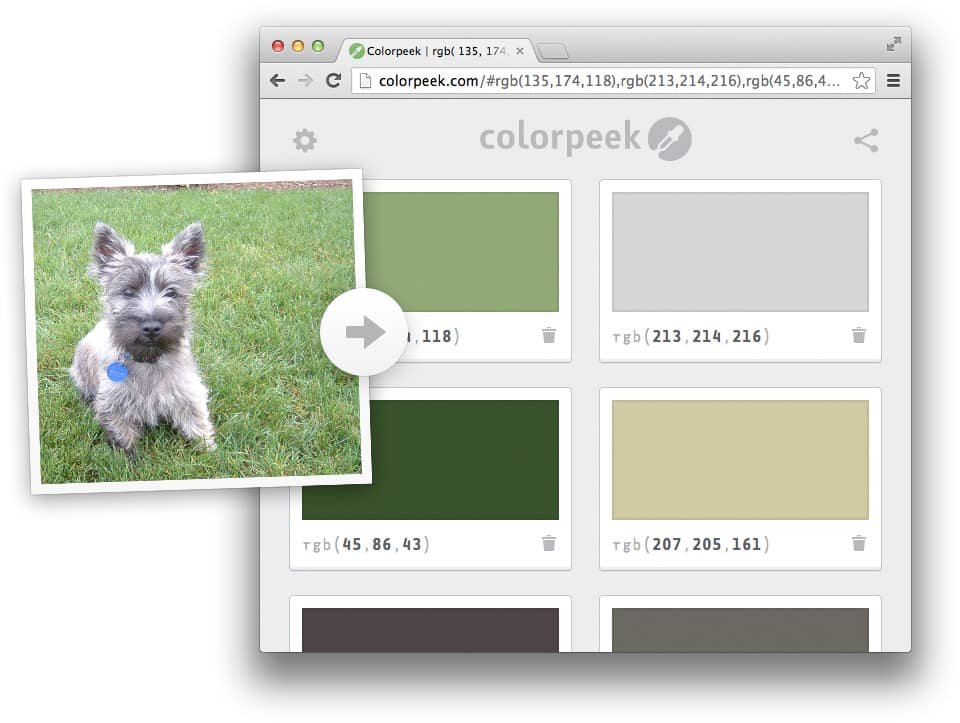 color peek for web designers