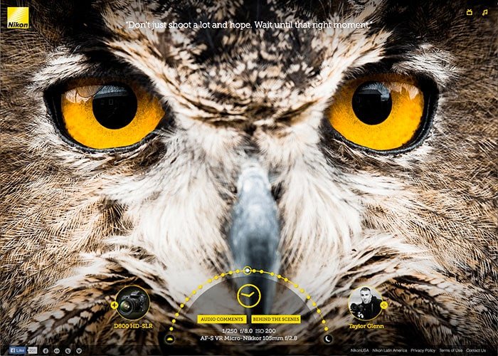 Nikon: Inspiring Web Design