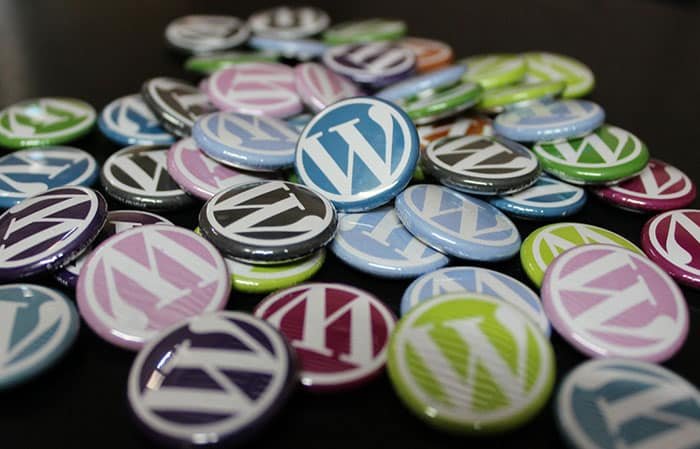 Avoid Using WordPress in Your Domain Names