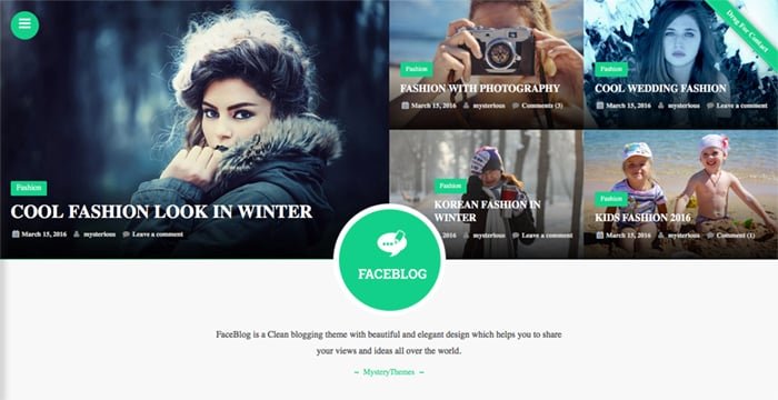 FaceBlog Free WordPress Theme main featured header