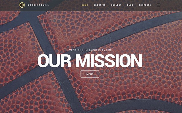 Basketball WordPress Theme 