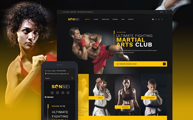 MMA WordPress Theme 